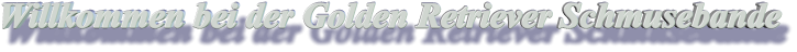 Willkommen bei der Golden Retriever Schmusebande